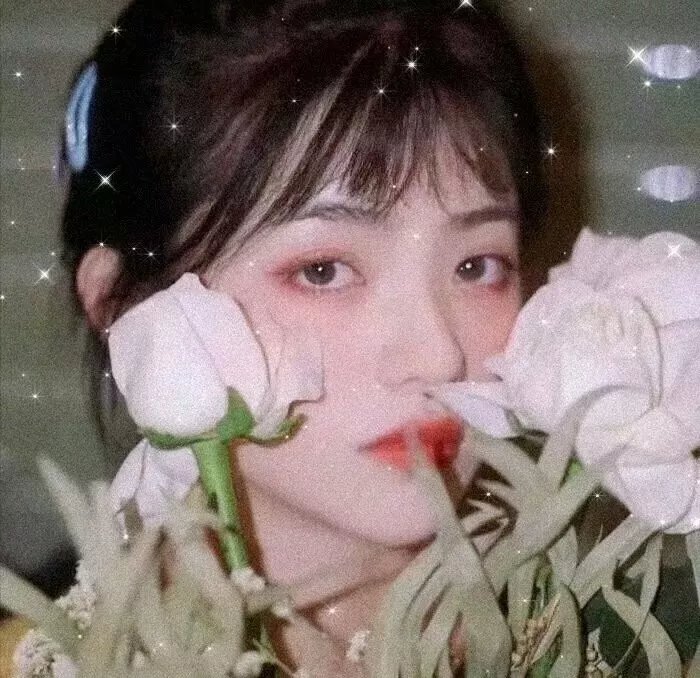 一半天堂